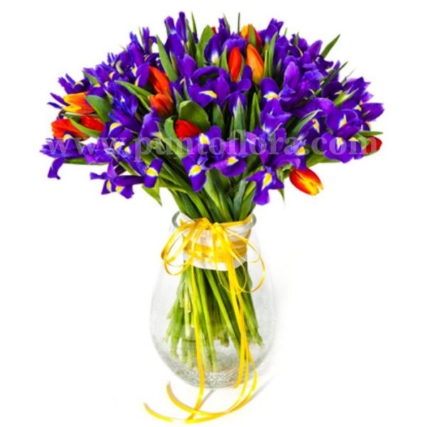 Iris Blu E Tulipani