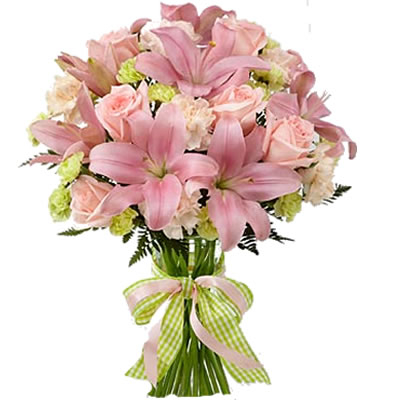 Lilly Confetti (BASIC)