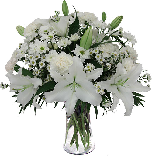White Lily (BASE)