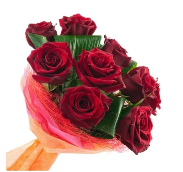 Velvet roses (BASE)