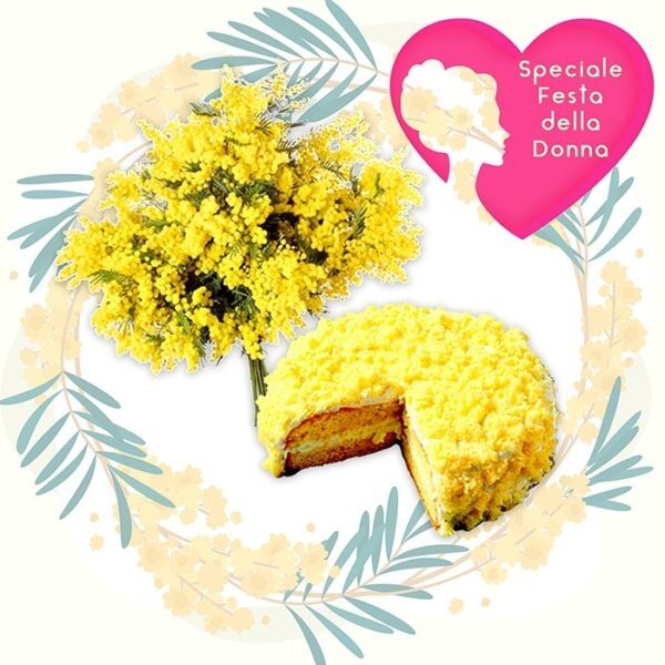 Torta e Mimosa (BASE)