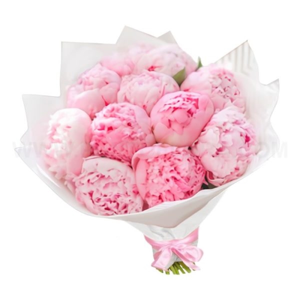 Pink Peonies (BASE)