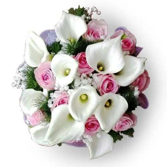 Calla Precious (BASIC)