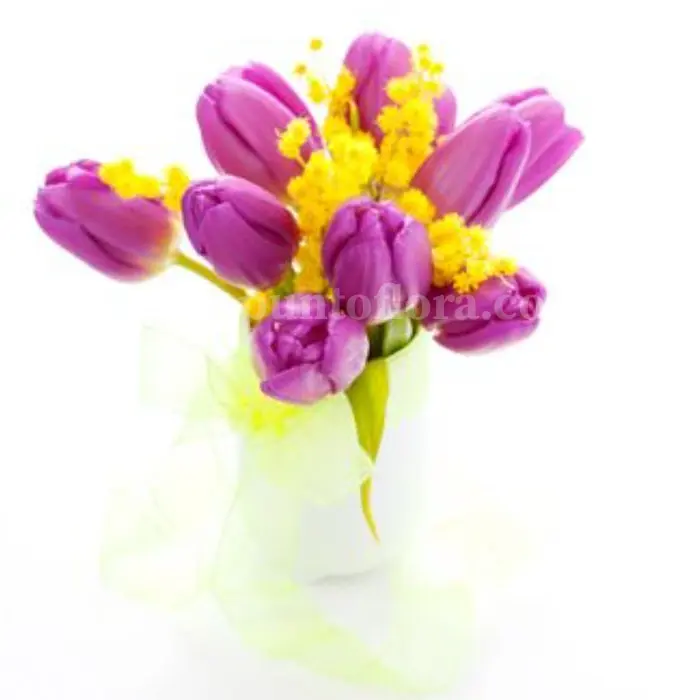 Tulips and Mimosas (BASE)