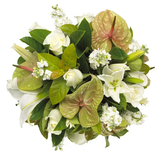 Green Bouquet (BASE)