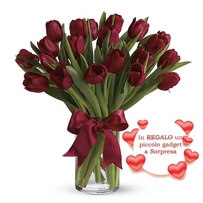 Tulipani rossi (SPECIALE)