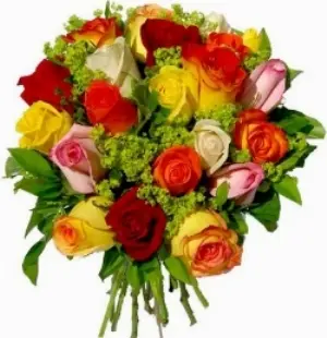 Mix Roses (BASE)