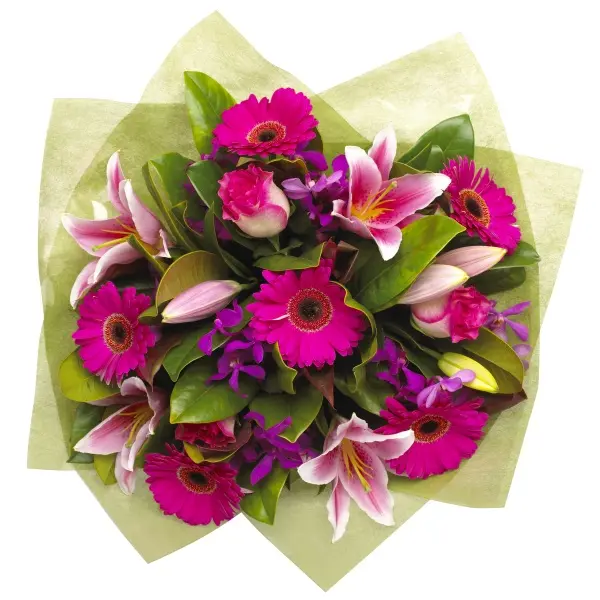 Divinely Fuchsia (BASIC)