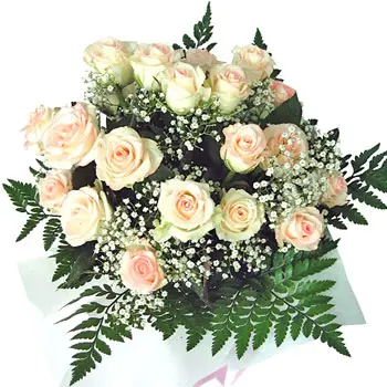 12 white roses (BASE)