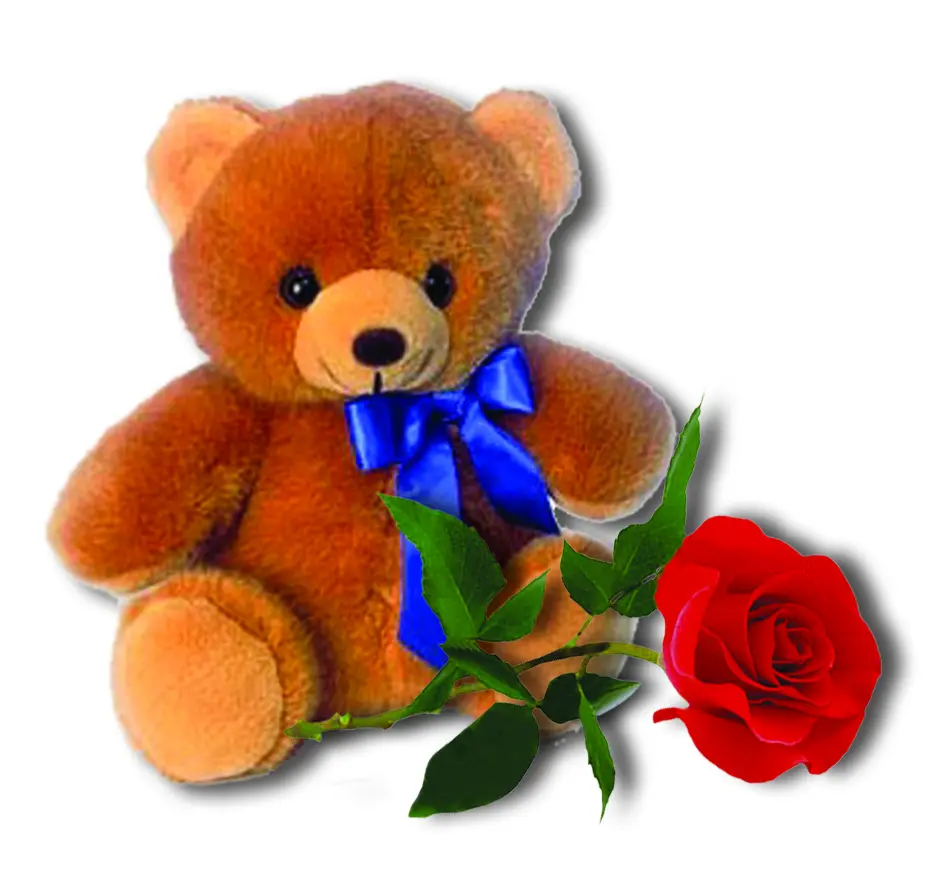 Teddy Rose (BASE)