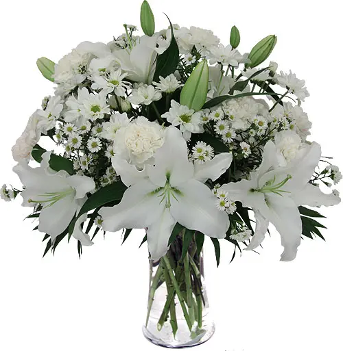 White Lily (BASE)