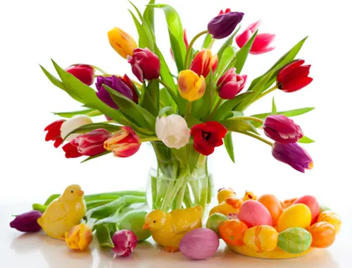 Buona Pasqua (BASE)