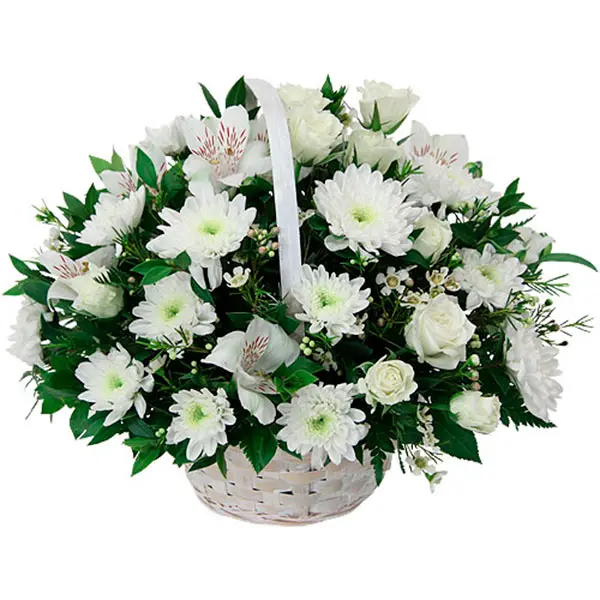Cesto Bianco (SPECIALE)