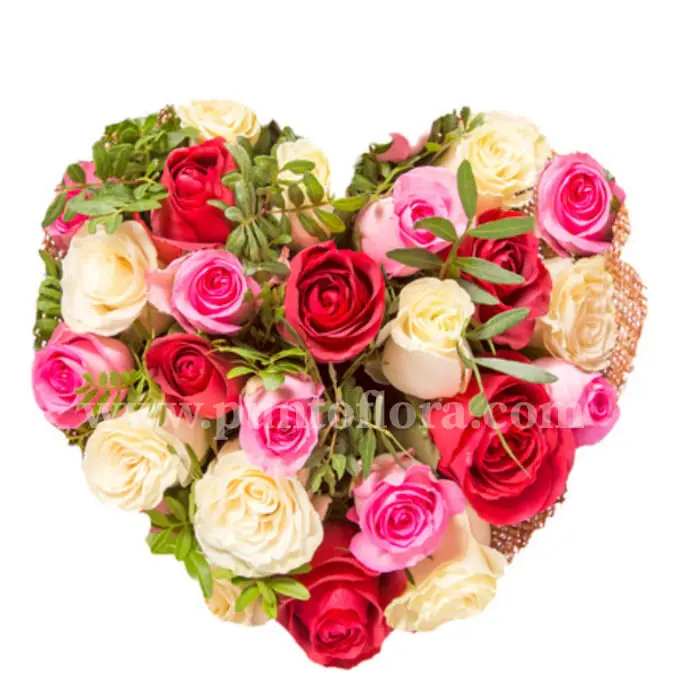 Cuore di Rose (BASE)