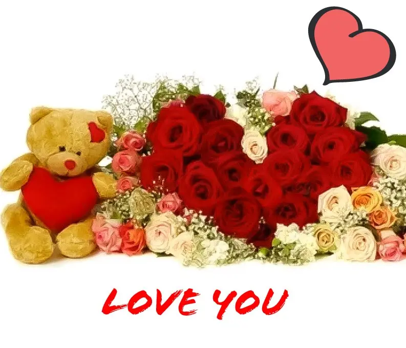 Teddy Bear and Roses (BASE)