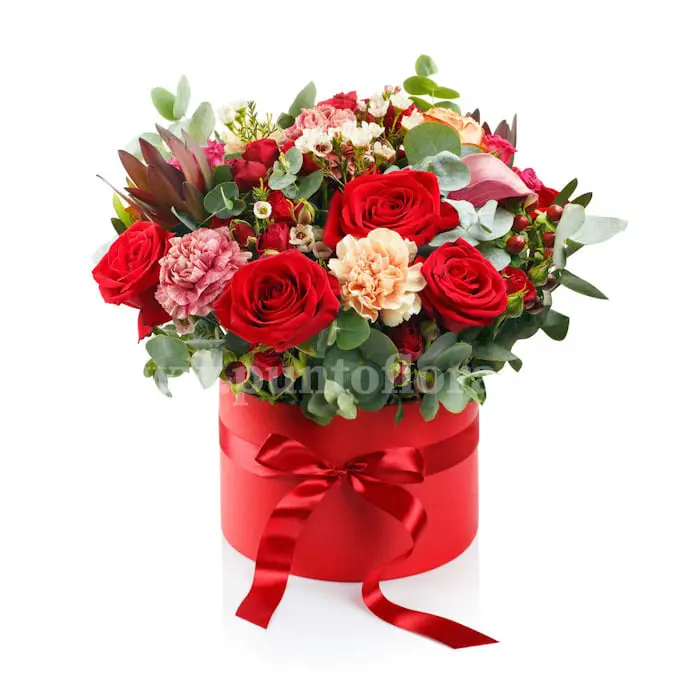 Red Christmas (BASE)