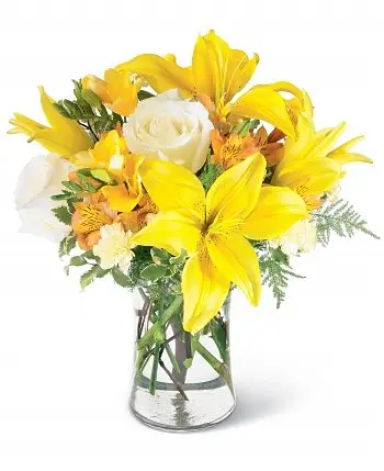Whiteness Yellow (BASE)