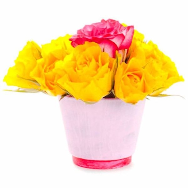 Floral Harmony (BASE)