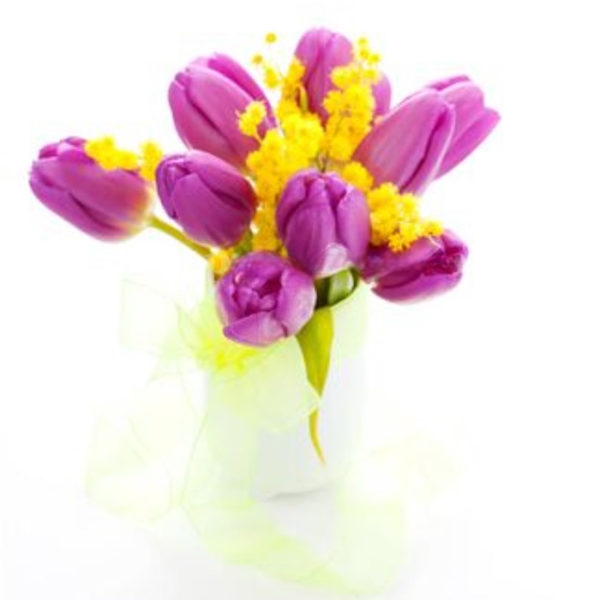 Tulips and Mimosas (BASE)