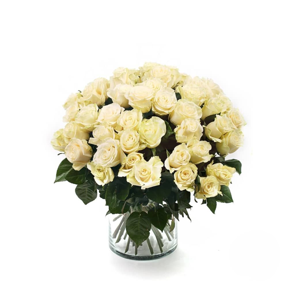 Bouquet di 50 rose bianche (raffinate)