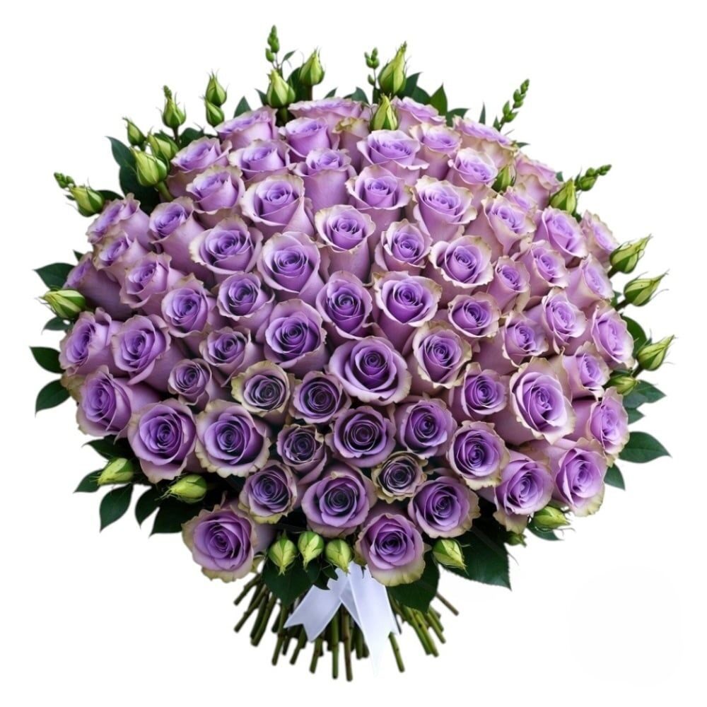 Bouquet di 200 rose lilla (Raffinato)