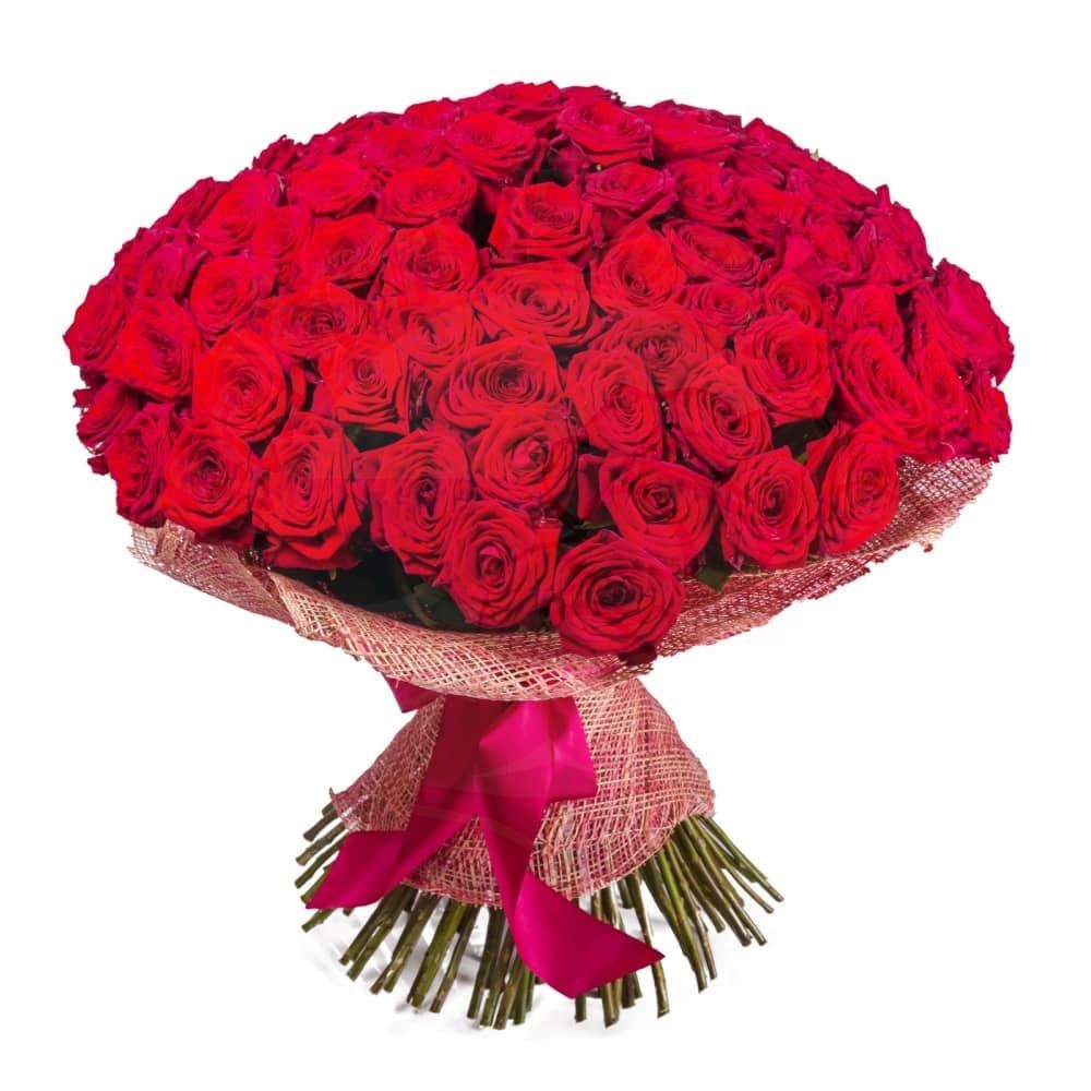 200 red roses bouquet (Refined)