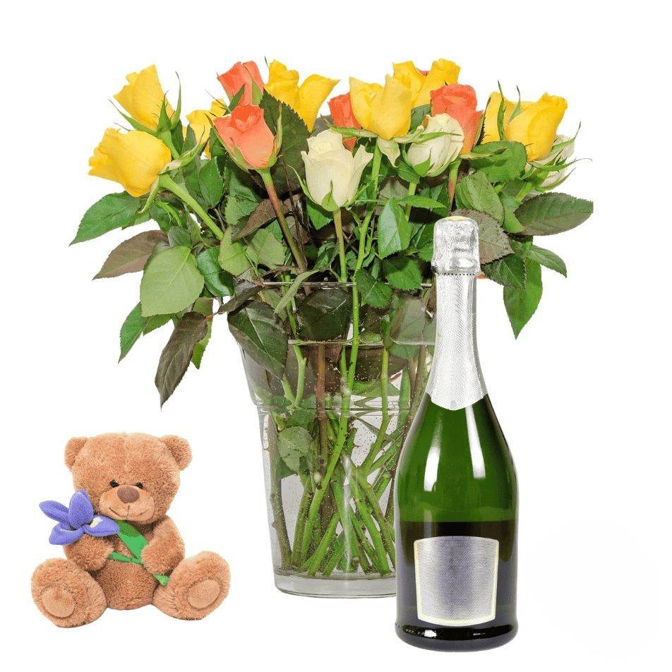 50 rose miste con orsacchiotto e vino bianco (Raffinate)