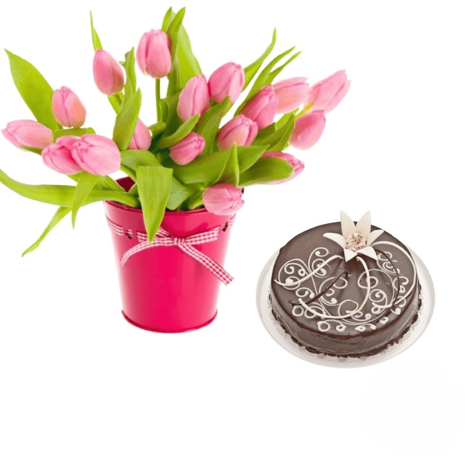 Bouquet di tulipani rosa con torta al cioccolato (Raffinato)