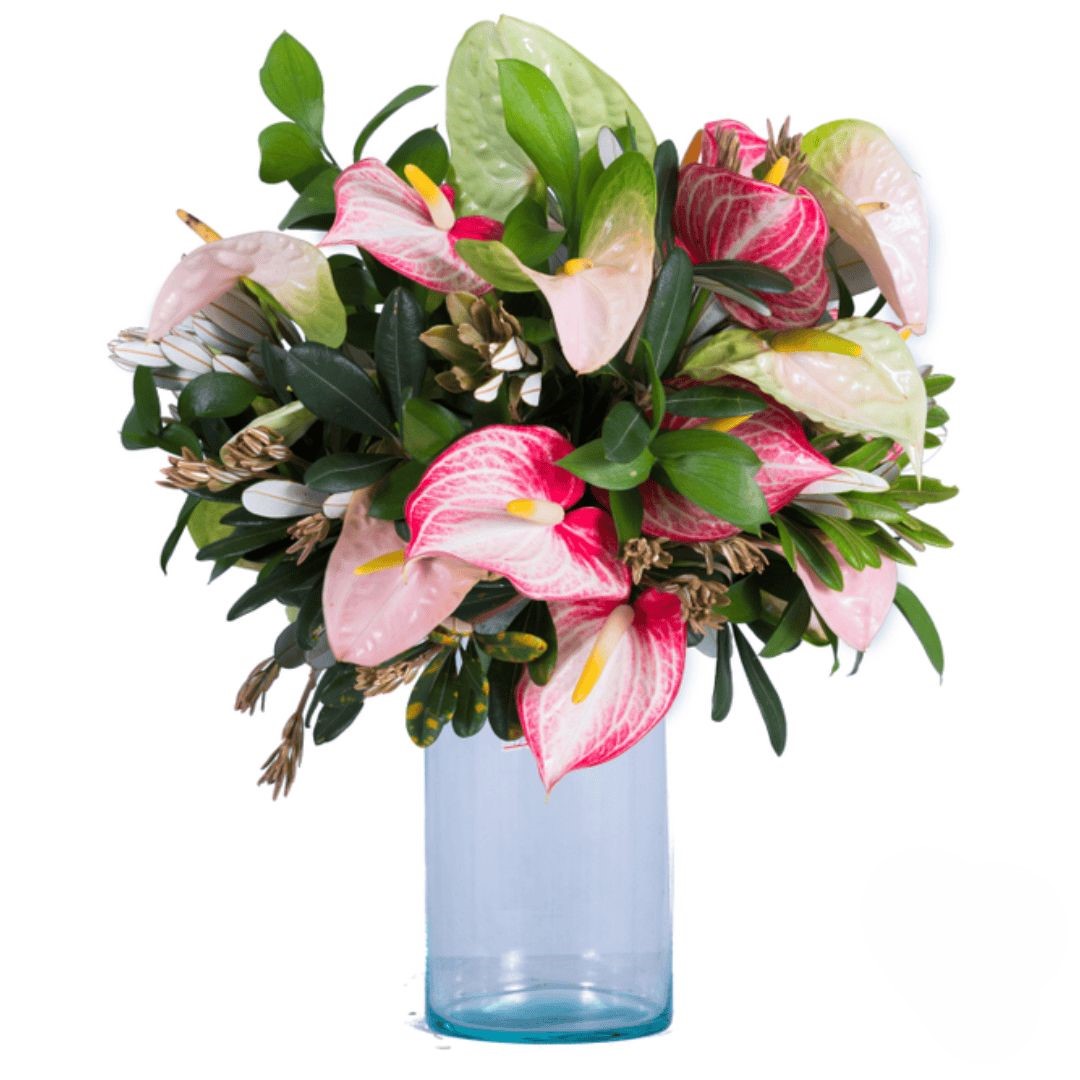 Bouquet of pink anthurium flowers (Refined)