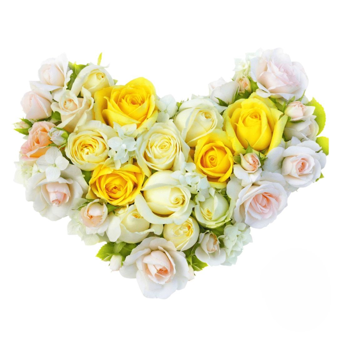 Cuore Funebre (Raffinato)