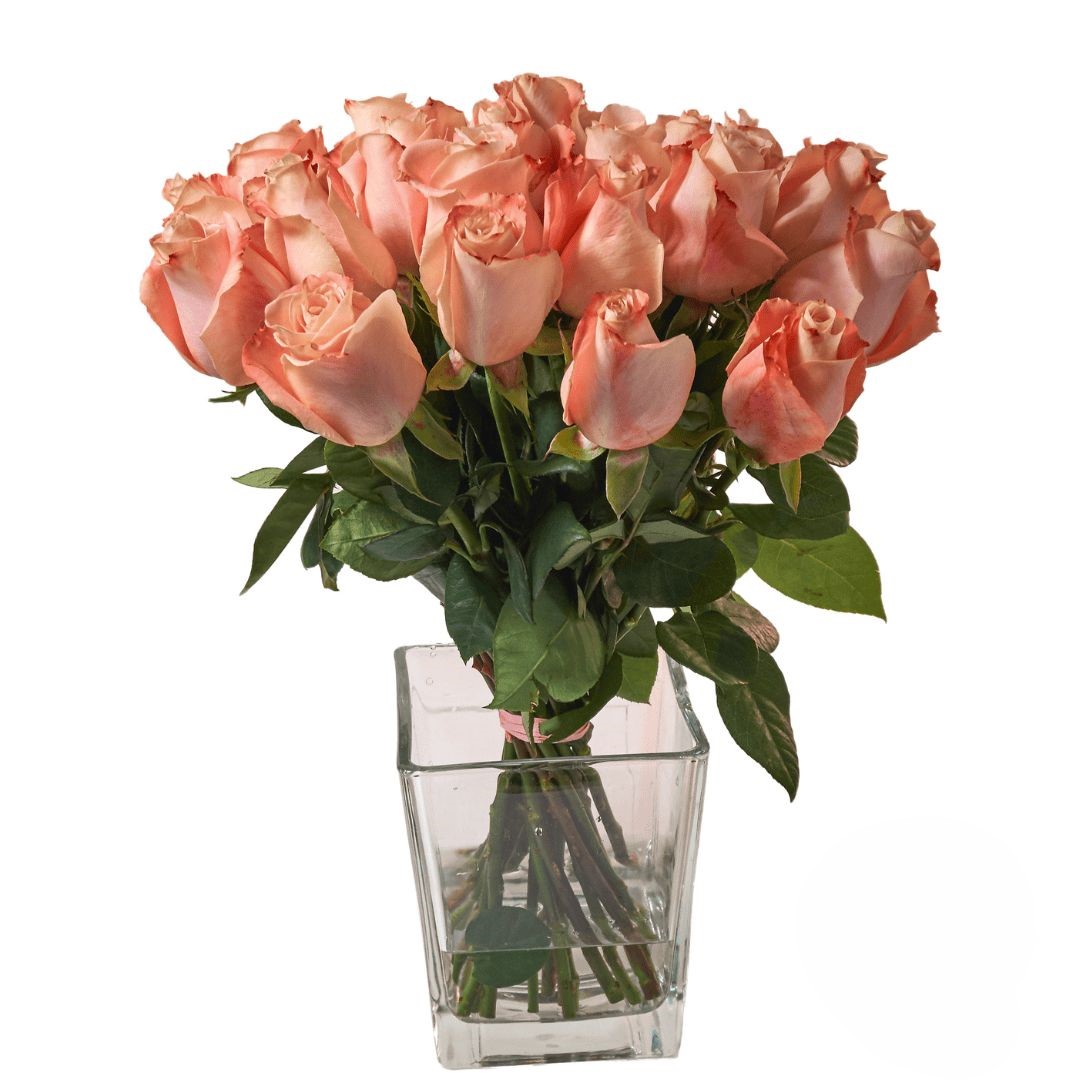 Bunch of 18 Salmon Roses (Refined)