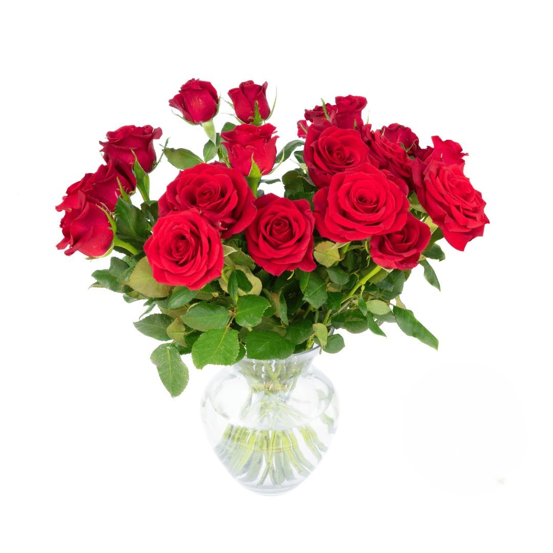 Mazzo di 18 rose rosse (raffinate)