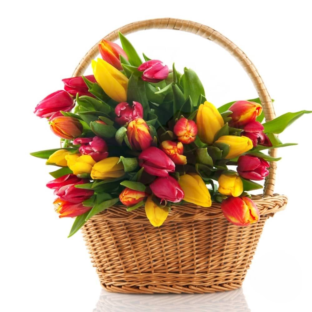 Cesto di tulipani gialli e rossi (Raffinato)