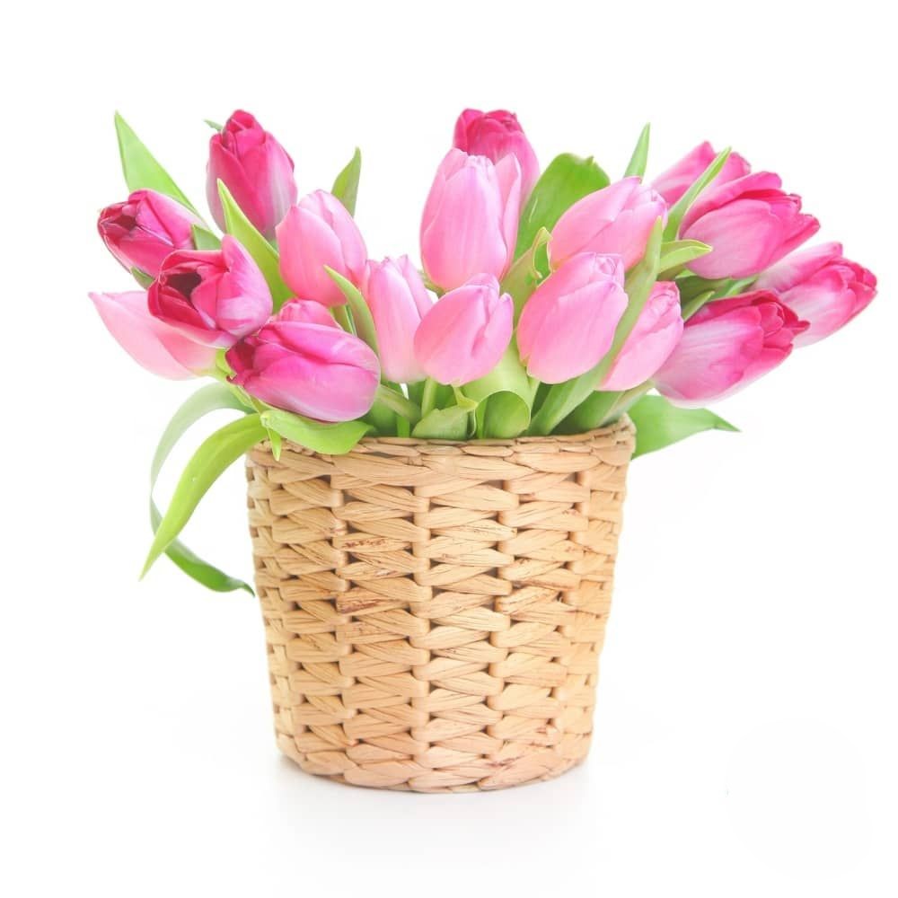Cesto di tulipani rosa chiaro (Raffinato)