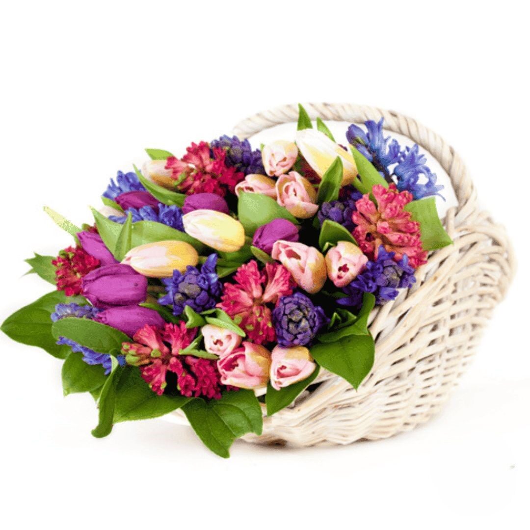Cesto di tulipani multicolori