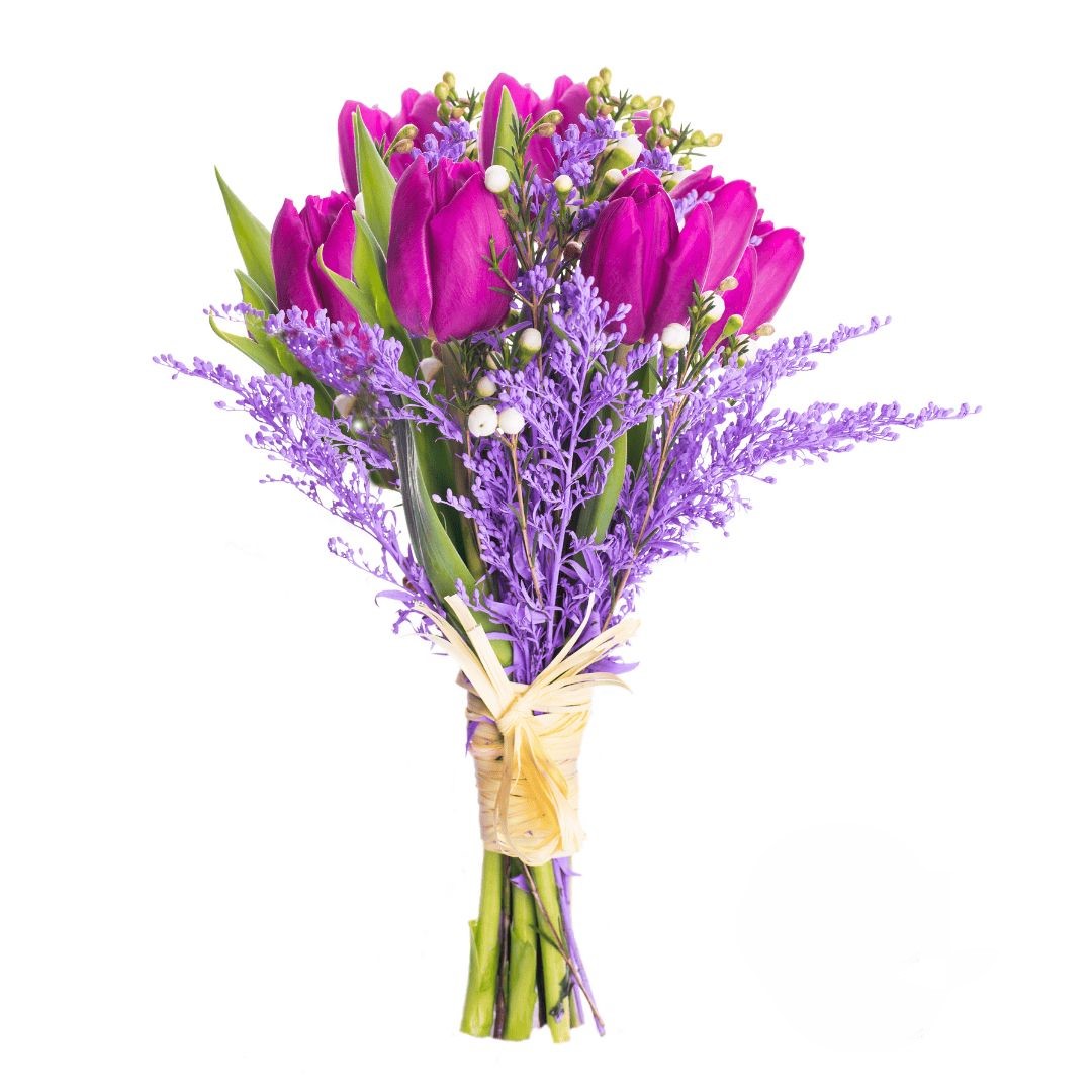 Purple Tulips (Refined)