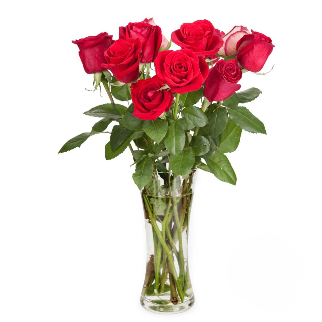 9 Rose Rosse (Raffinate)
