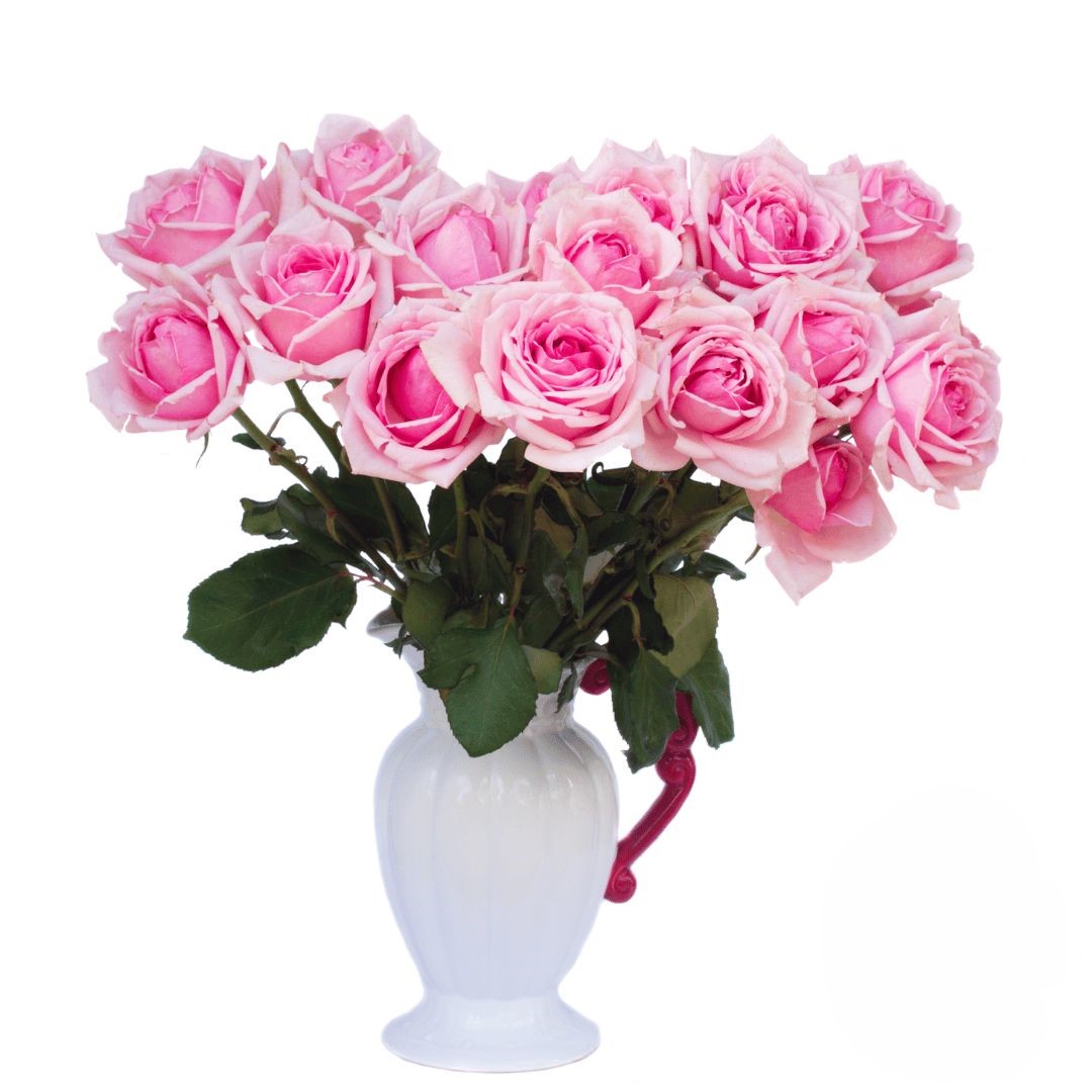 15 rose rosa con vaso (raffinate)