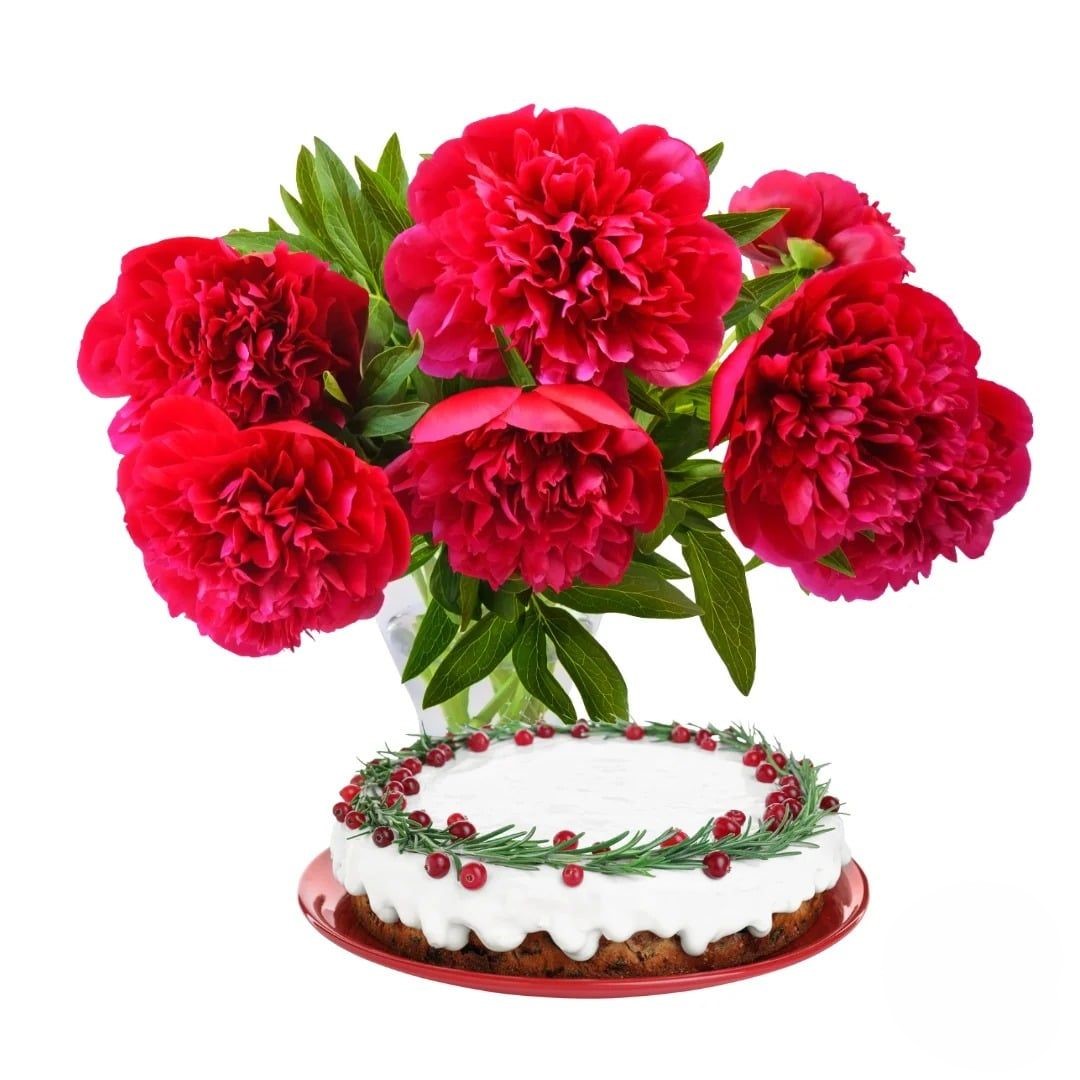 Bouquet di garofani rossi con torta alla crema (Raffinato)
