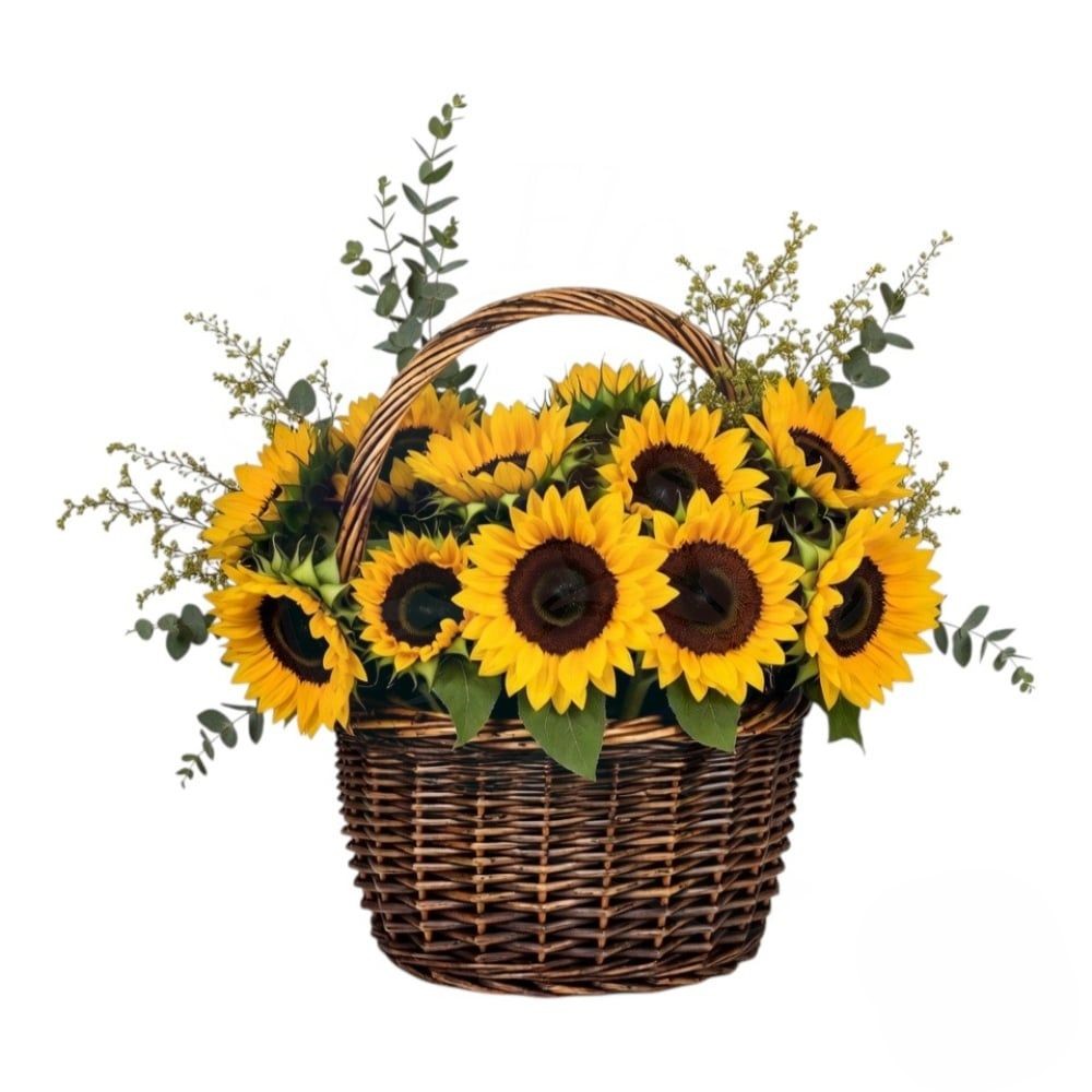 Cesto Di Girasoli (Raffinato)