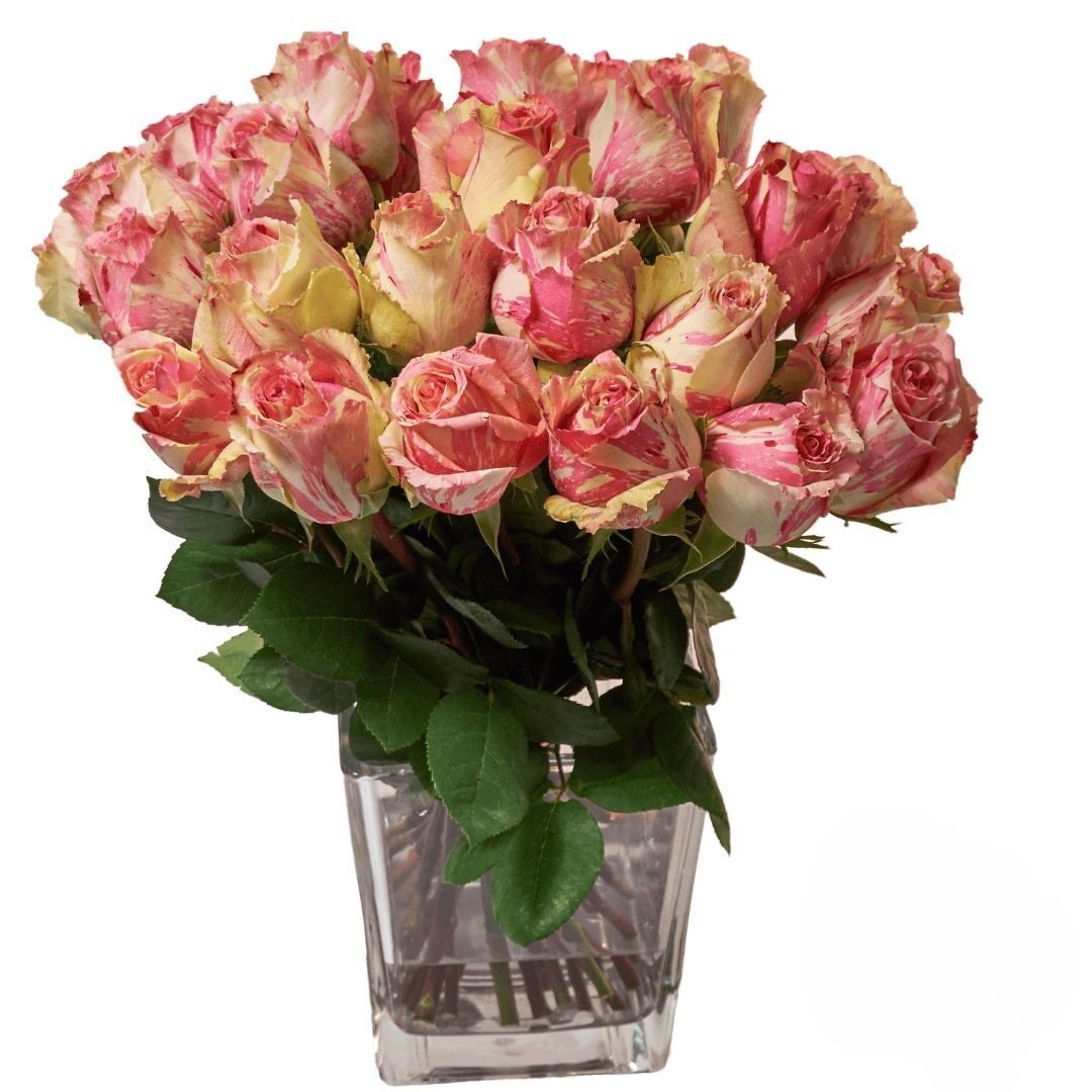 24 Rose color pesca (raffinate)