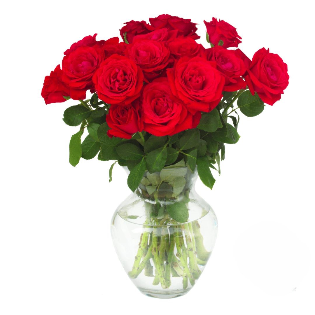 15 Rose Rosse (Raffinate)