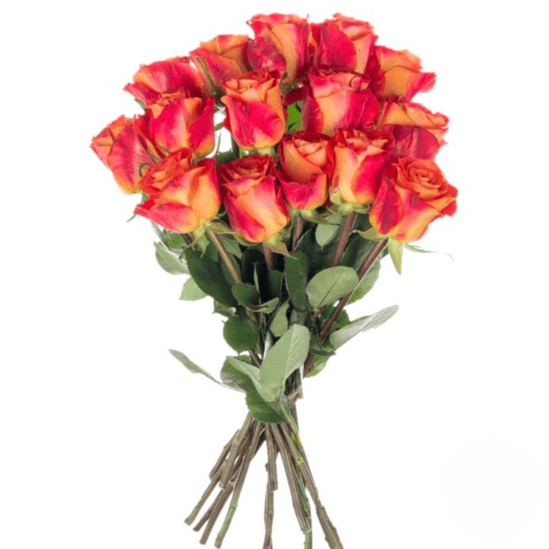 Bouquet di 15 rose arancioni (raffinato)