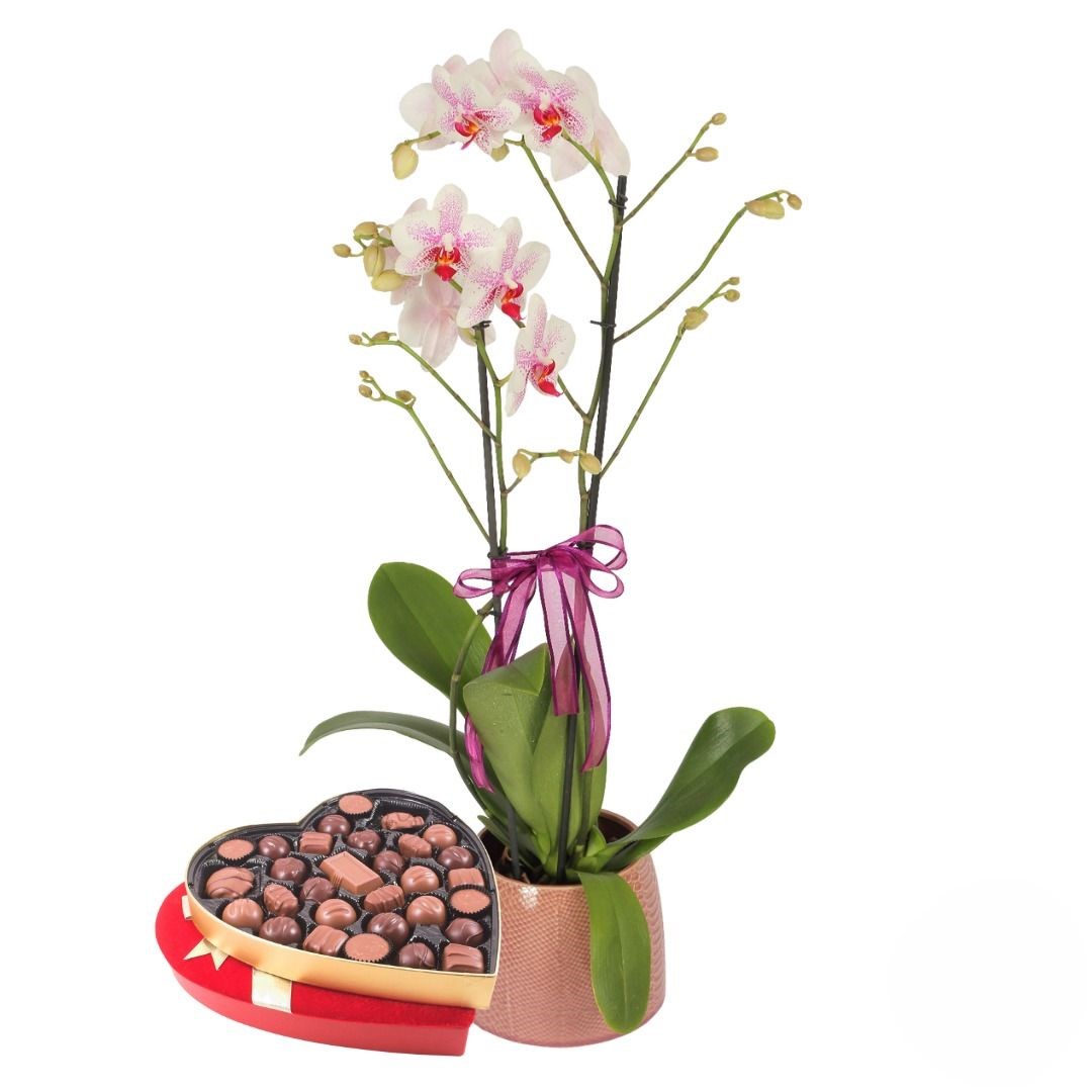 Centerpiece of red anthurium and yellow flowers (Refined)