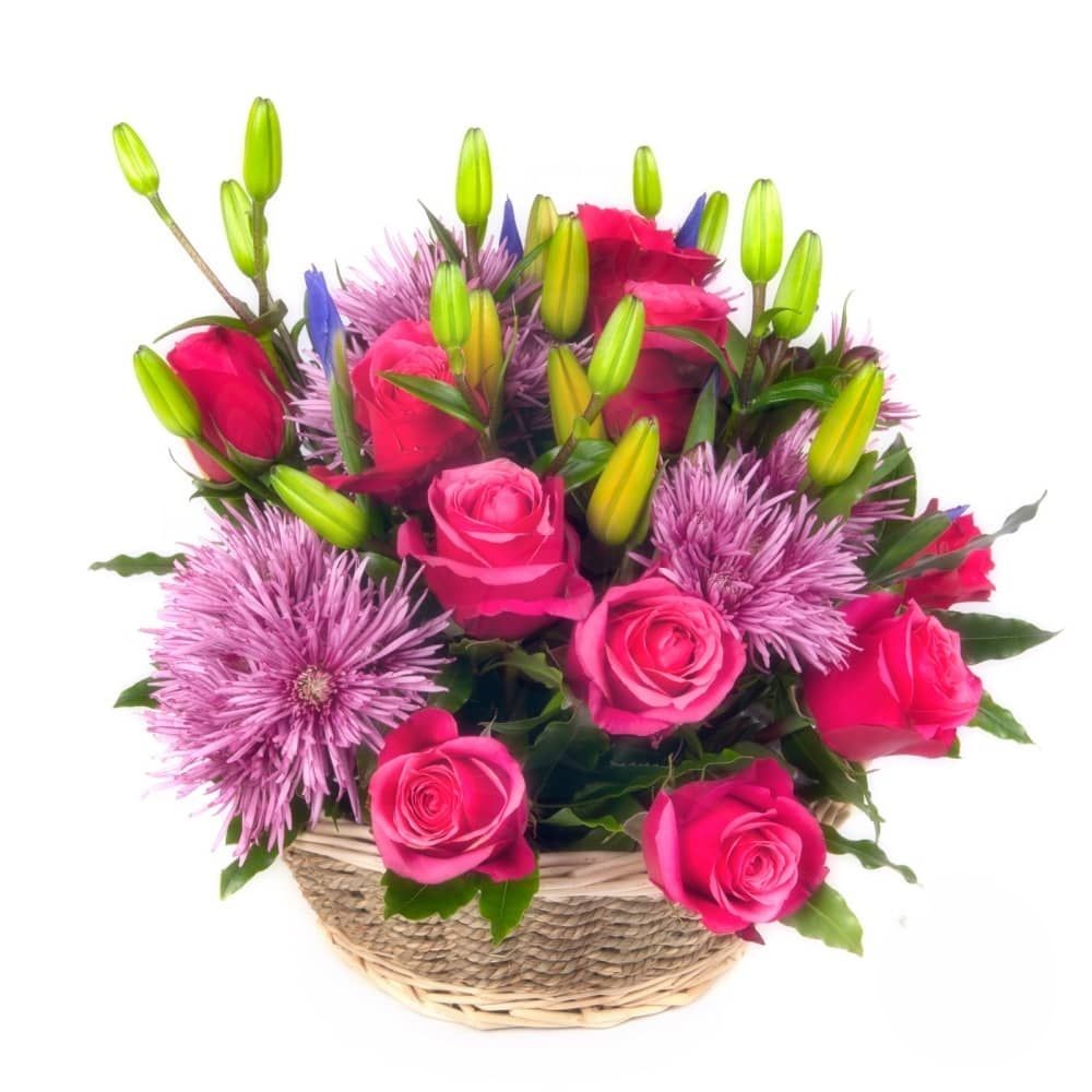 Basket in light colors (Refined)