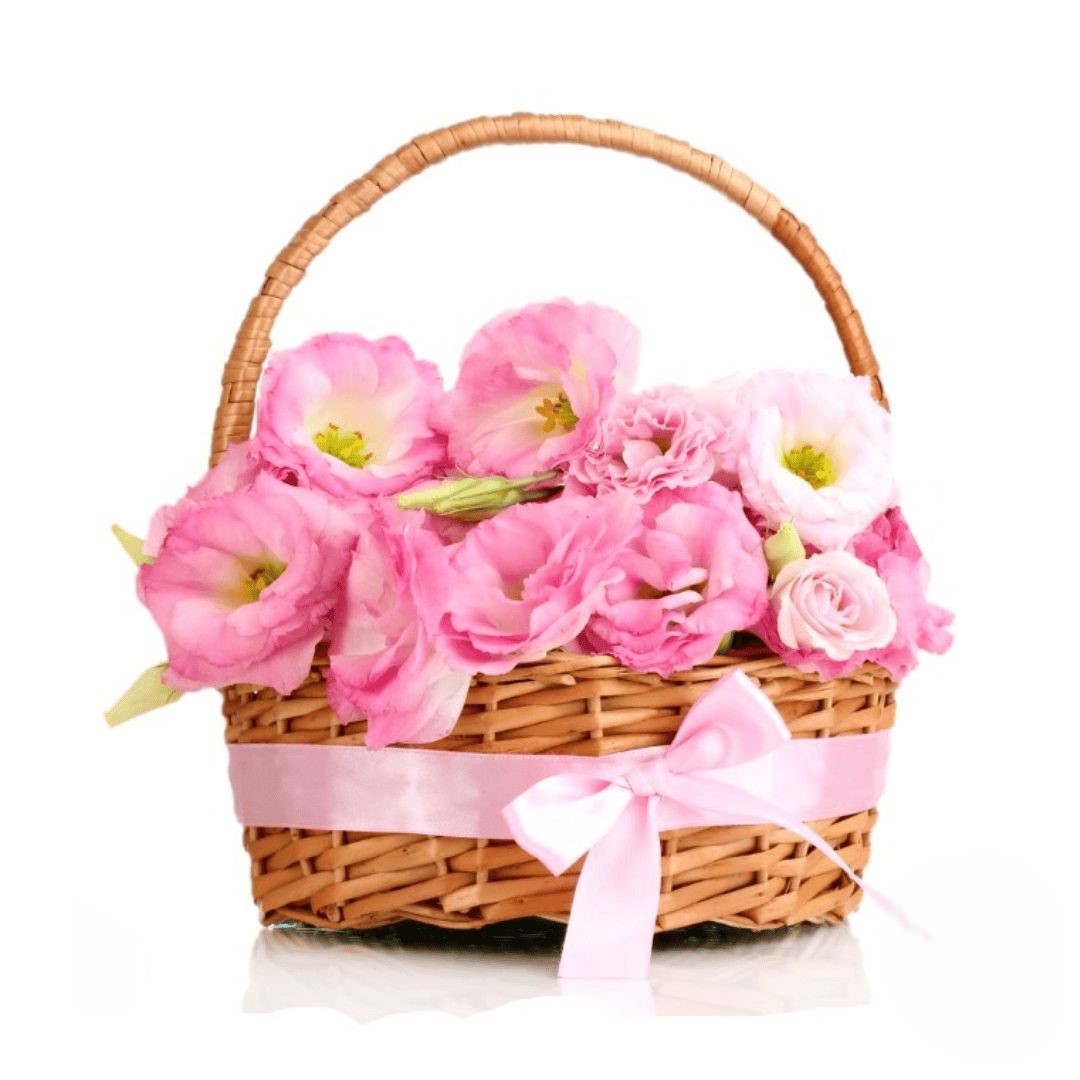 Pink basket (Refined)