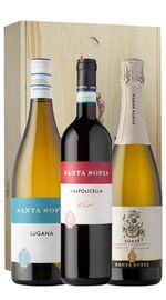 Box 'Vini Bianchi, Rossi e Spumanti' Santa Sofia (3bt)