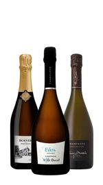 Confezione regalo di champagne (3 bottiglie)