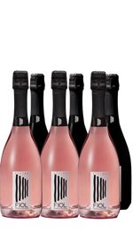 Confezione di vino Prosecco Fiol Extra Dry e Rosé (12 bottiglie)