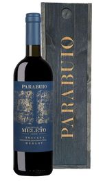 Merlot 'Parabuio' Castello di Meleto 2019